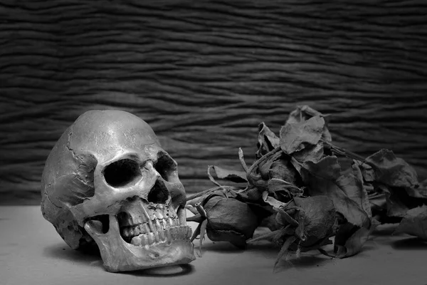 Old Human Skulls Pile Dried Rose Flower Dim Light Dark — Stock Photo, Image