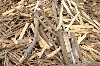 Şömine için yığınla odun var, demirhre ağacından kereste..