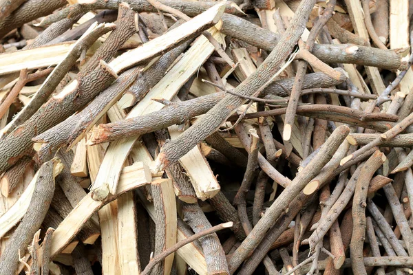 Pila de leña en el jardín — Foto de stock © n.nonthamand.gmail.com