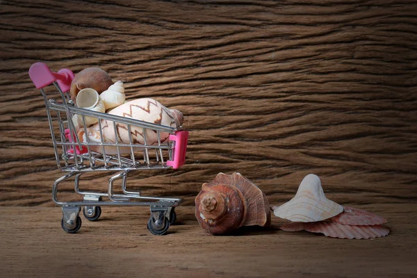 Stillleben Malerei Fotografie mit Mini-Warenkorb von vielen Muscheln mit alten schönen Holzhintergrund. - Kopierraum. — Stockfoto