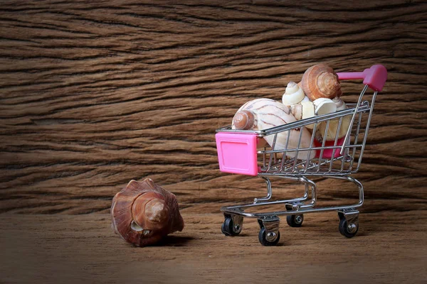 Stilleben måleri fotografi med Mini kundvagn av en massa skal med gamla vackra trä bakgrund. -Kopiera utrymme. — Stockfoto