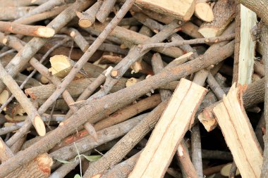 Şömine için yığınla odun var, demirhre ağacından kereste..