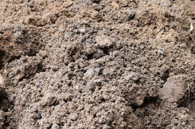 Toprak doku arka plan. Closeup çekim