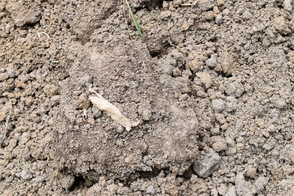 Soil Texture Background Closeup Shot — Stock Photo, Image