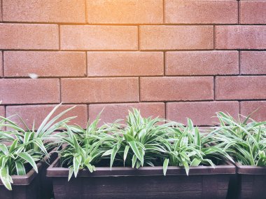 Turuncu eski tuğla duvar arka planı yeşil yaprakları