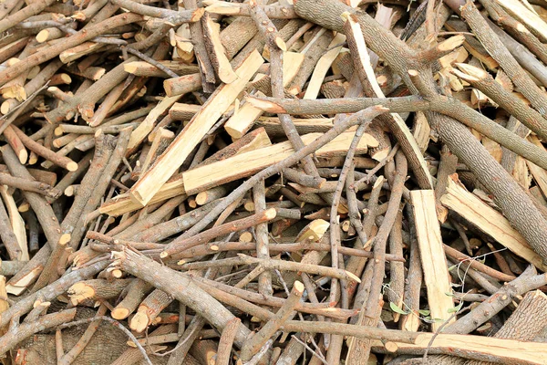 Much Plenty Firewood Fireplace Pile Lumber Tamarind Tree — Stock Photo, Image