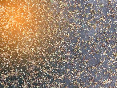 Kuru doku ıslak zeminde bırakır..