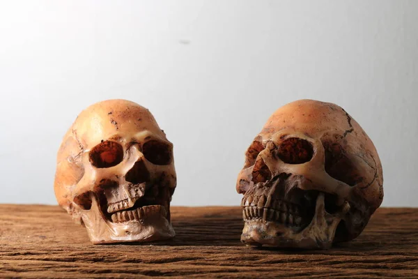 Crânes Humains Thème Halloween — Photo