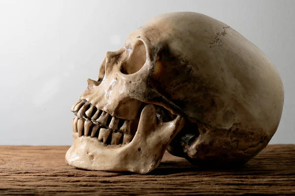 Zátiší Lidskou Lebku Dřevěný Stůl Pozadím — Stock fotografie
