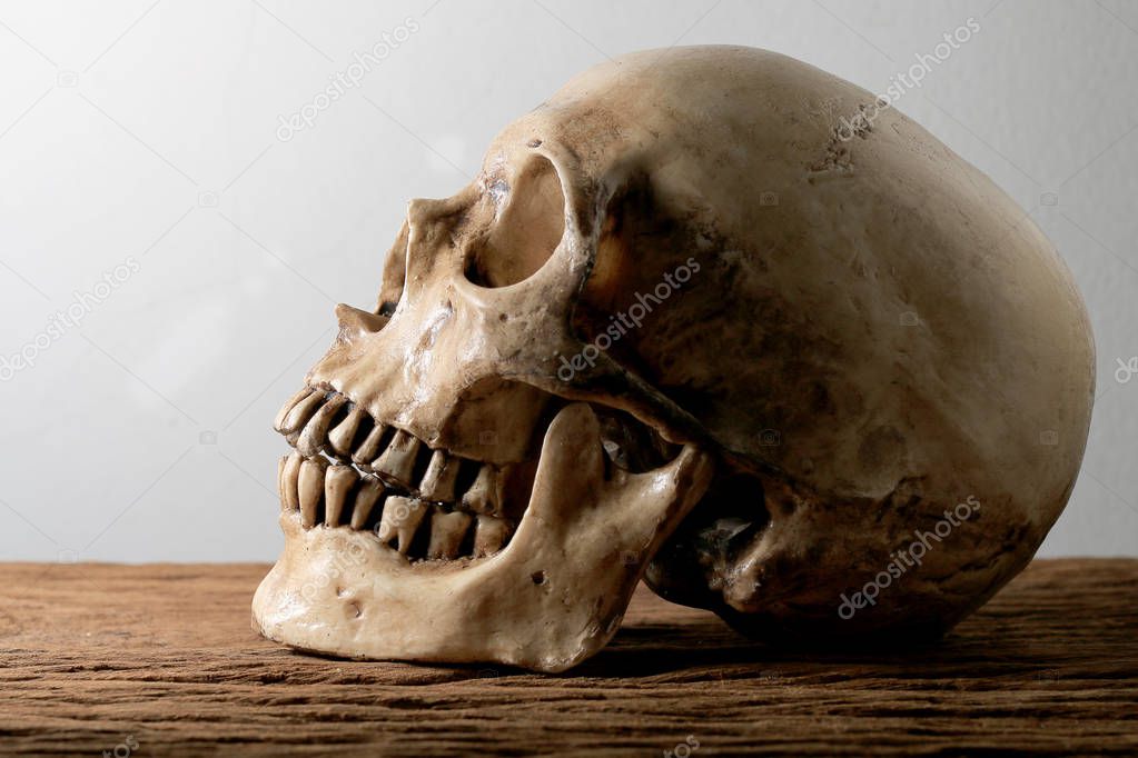 Still life photography with human skull on wooden table with background.