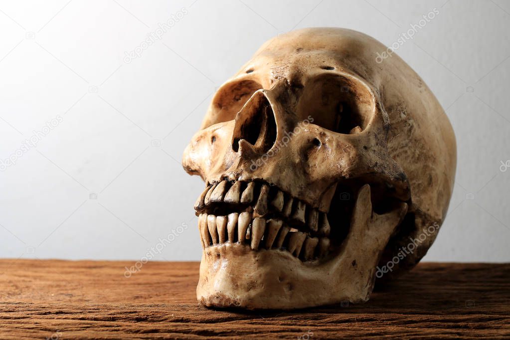 Still life photography with human skull on wooden table with background.