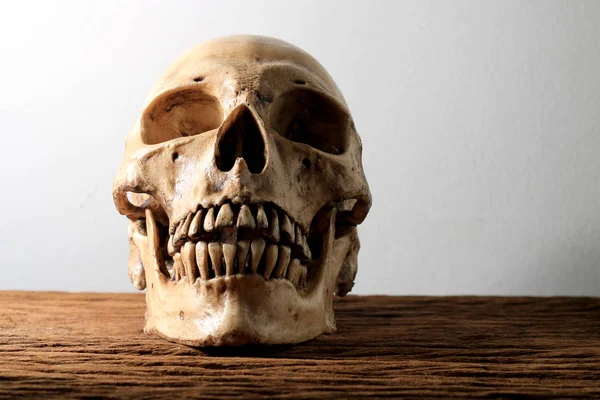 Fotografía Naturaleza Muerta Con Cráneo Humano Sobre Mesa Madera Con — Foto de Stock