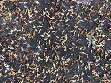 Kuru doku ıslak yere bırakır..