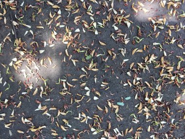 Kuru doku ıslak yere bırakır..