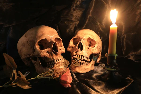 lover of human Skulls and rose flower with light candle in dim valentines on black fabric with texture in night time / Still life Image