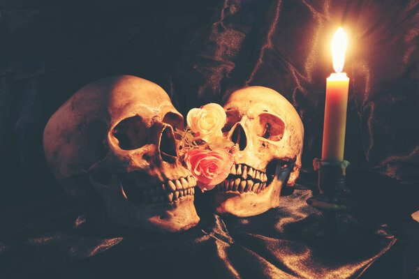 lover of human Skulls and rose flower with light candle in dim valentines on black fabric with texture in night time / Still life Image