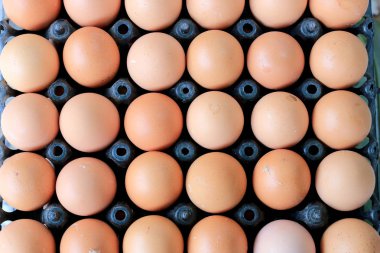 Markette yemek pişirmek için satmak için Grup taze yumurta yumurta siyah paketinden bir tavuk çiftliği paket üzerinde tutulur.