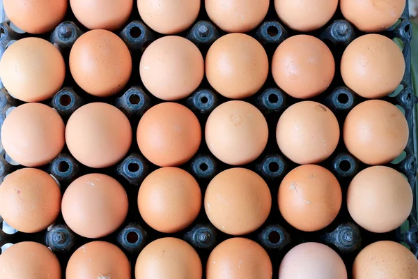 Markette yemek pişirmek için satmak için Grup taze yumurta yumurta siyah paketinden bir tavuk çiftliği paket üzerinde tutulur.