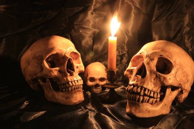 Natürmort kafatası ve orkide cins ahşap dak arka plan ile gece zamanında