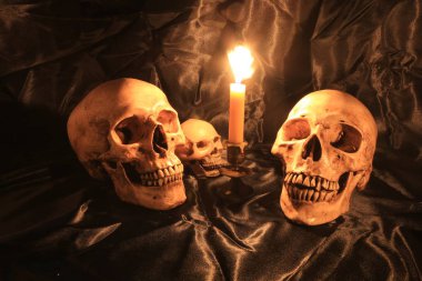 Natürmort kafatası ve orkide cins ahşap dak arka plan ile gece zamanında