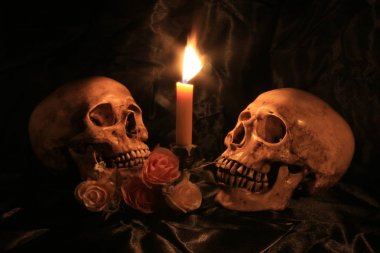 Natürmort kafatası ve orkide cins ahşap dak arka plan ile gece zamanında