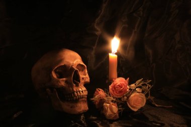 Natürmort kafatası ve orkide cins ahşap dak arka plan ile gece zamanında