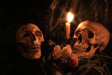 Natürmort kafatası ve orkide cins ahşap dak arka plan ile gece zamanında