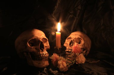 Natürmort kafatası ve orkide cins ahşap dak arka plan ile gece zamanında
