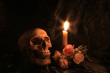 Natürmort kafatası ve orkide cins ahşap dak arka plan ile gece zamanında