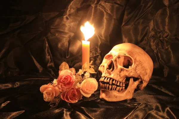 Naturaleza muerta con cráneo y orquídea en madera en la noche con fondo oscuro — Foto de Stock