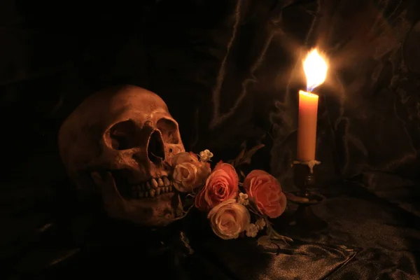 Stillleben mit Totenkopf und Orchidee auf Holz in der Nacht mit Dak-Hintergrund — Stockfoto