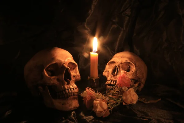 Stillleben mit Totenkopf und Orchidee auf Holz in der Nacht mit Dak-Hintergrund — Stockfoto