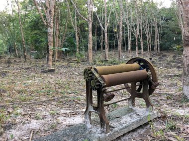 Kauçuk, kauçuk plantasyon can, kauçuk ağaçları Tayland dokunarak el tarafından kullanılan eski yerel Kauçuk ekstrüzyon makine.