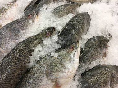 taze beyaz balığı buz yerel süpermarket veya mağaza.