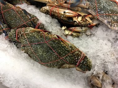 Taze yengeçler deniz ürünleri yığın buz yerel pazar veya mağaza içinde yatıyordu.