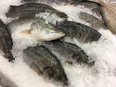 taze beyaz balığı buz yerel süpermarket veya mağaza.