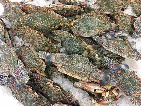 新鲜螃蟹海鲜堆在当地市场或百货公司加冰 — 图库照片