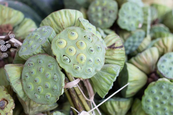 stock image Fresh Green lotus seed pod are bind of group for sale at Thai street local market. still light photography style