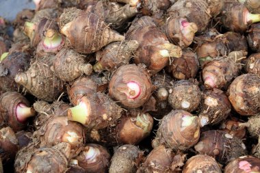Bilimsel adı Colocasia esculenta olan taze taro sebze yığını. Yerel pazarda çiğ Taro. Sokak pazarında taze taro kökü satışı