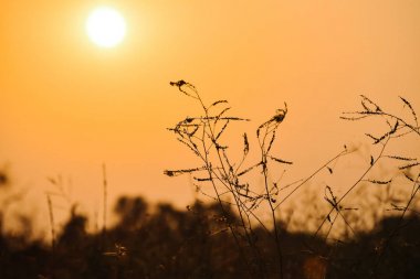 Sahada gün batımı