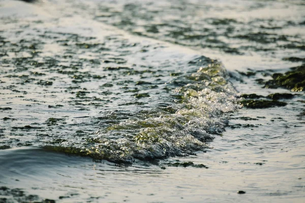 Vreedzame zomer zee landschap — Stockfoto