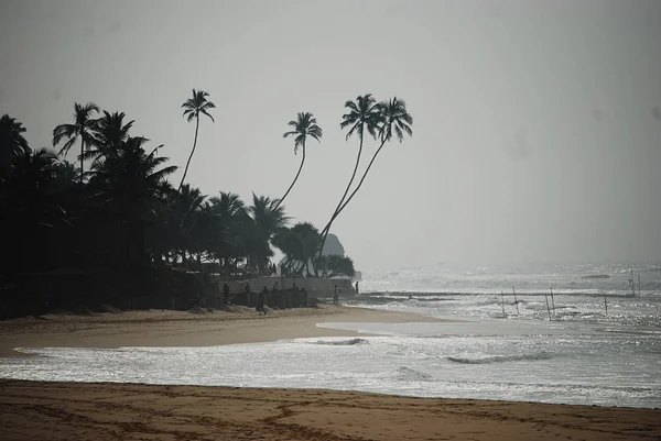 Oceánu pobřeží podél Srí Lanka — Stock fotografie