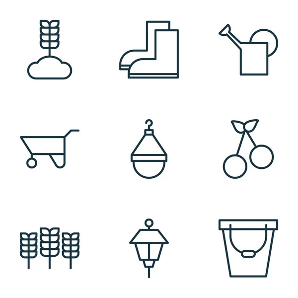 Ensemble de 9 icônes végétales. Comprend la baie douce, le cintre, les céréales et autres symboles. Beaux éléments de conception . — Image vectorielle