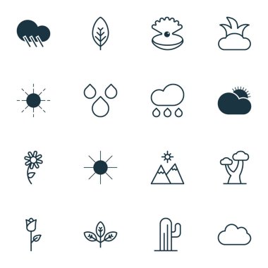 16 ekoloji simgeler kümesi. Su damlaları, Bush, ayçiçeği ve diğer simgeleri içerir. Güzel tasarım öğeleri.