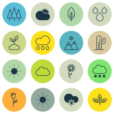 16 uyum simgeler kümesi. Bitki, aşk çiçek, ayçiçeği ve diğer simgeleri içerir. Güzel tasarım öğeleri.