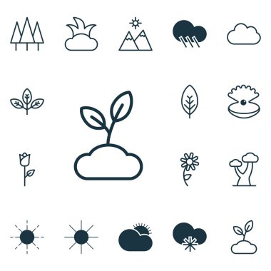 16 uyum simgeler kümesi. Orman, bitki, ağaç yaprak ve diğer simgeleri içerir. Güzel tasarım öğeleri.