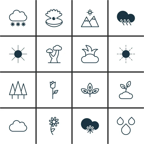 Zestaw 16 ikon ekologia. Zawiera Bush, roślina, słonecznik i inne symbole. Piękny Design elementów. — Wektor stockowy