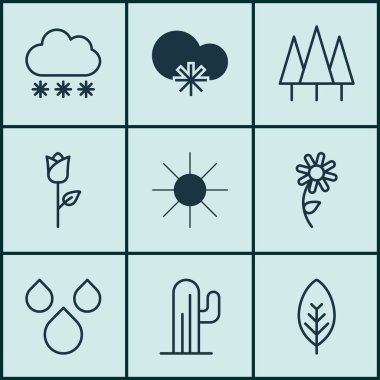 9 dünya simgeler kümesi. Orman, kaktüs, ayçiçeği ve diğer simgeleri içerir. Güzel tasarım öğeleri.