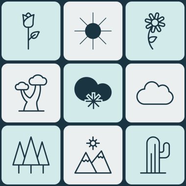 9 uyum simgeler kümesi. Orman, kaktüs, güneş ışığı ve diğer simgeleri içerir. Güzel tasarım öğeleri.