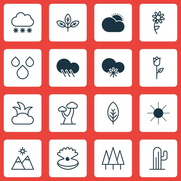 Sada 16 přírody ikon. Obsahuje kaktusy, Les, dešťové kapky a jiné symboly. Krásné designové prvky. — Stockový vektor